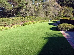 Residential Artificial Turf Santa Ana